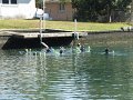 Kids_FL-Day2_11-2016 (113)